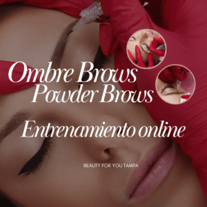 Ombre/Powder brows 8 clases online (zoom)
